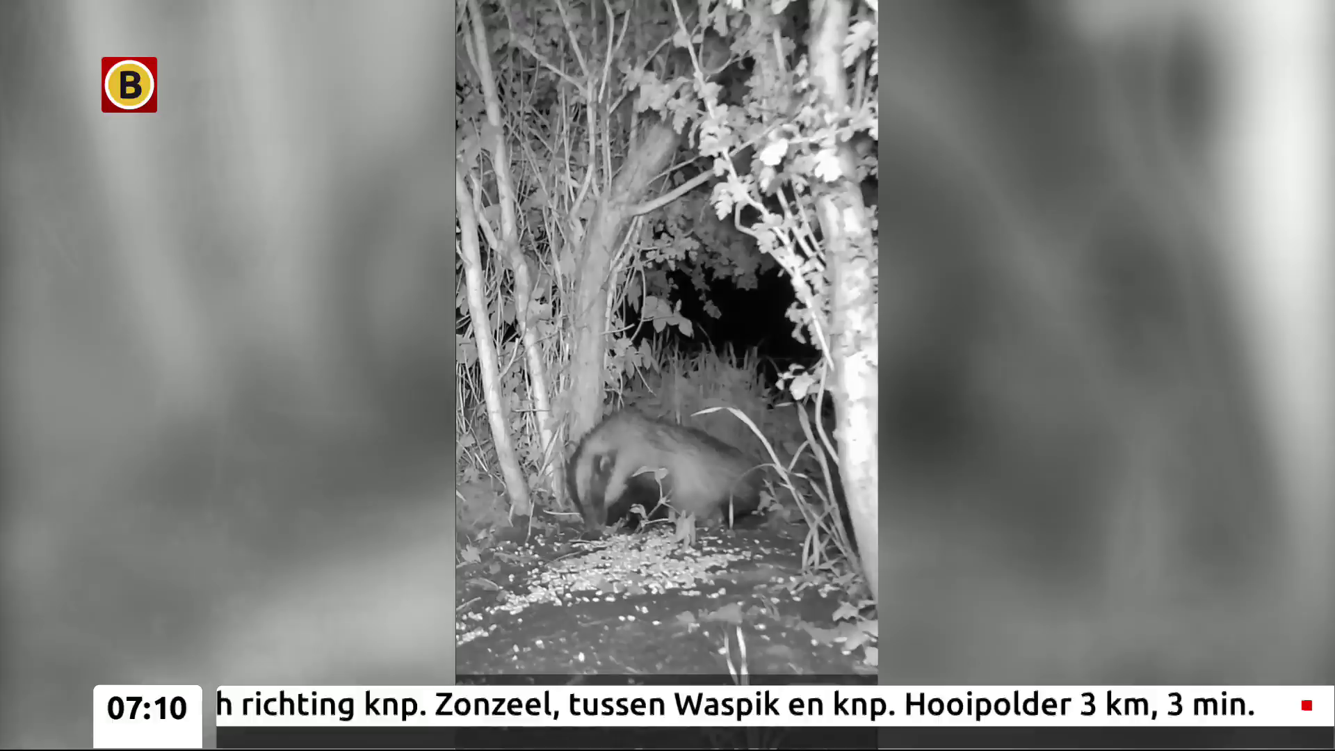 Watch Omroep Brabant