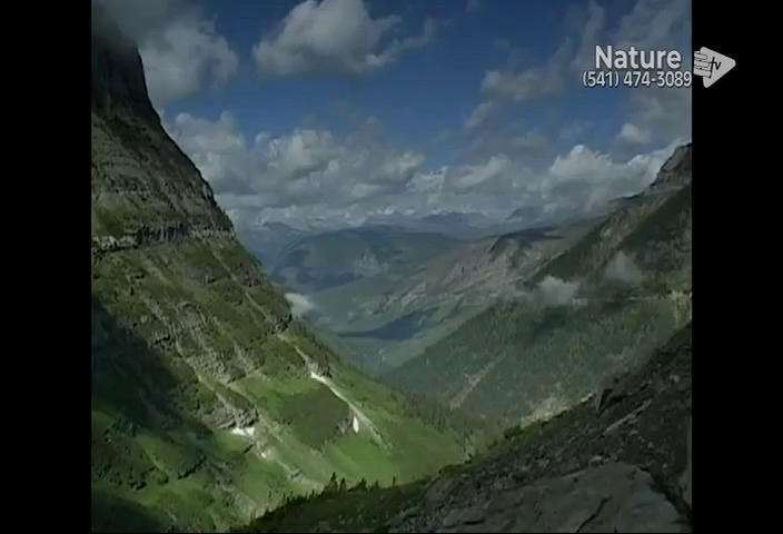 Watch Better Life Nature Channel